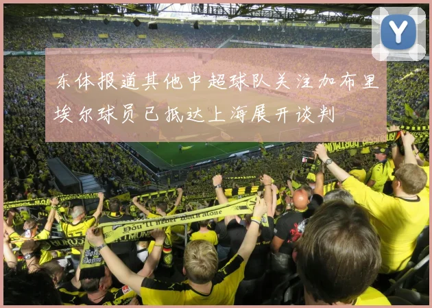 东体报道其他中超球队关注加布里埃尔球员已抵达上海展开谈判