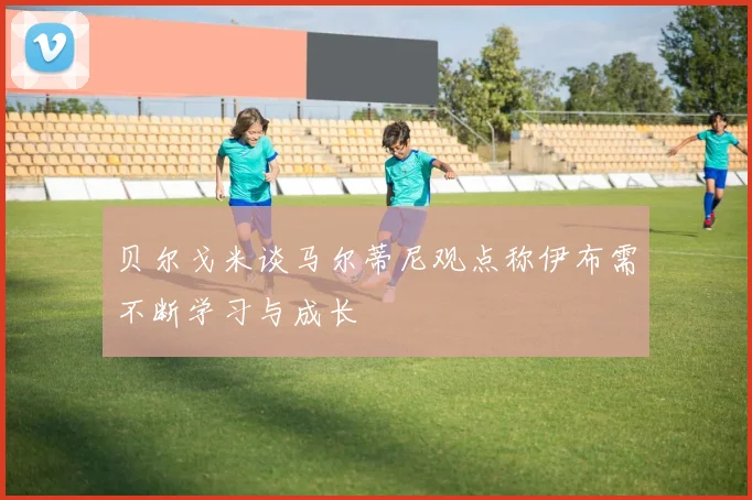 贝尔戈米谈马尔蒂尼观点称伊布需不断学习与成长